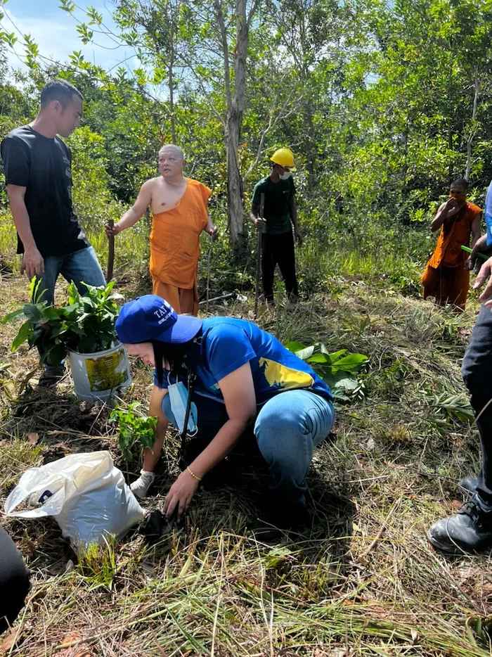 Forest planting initiative