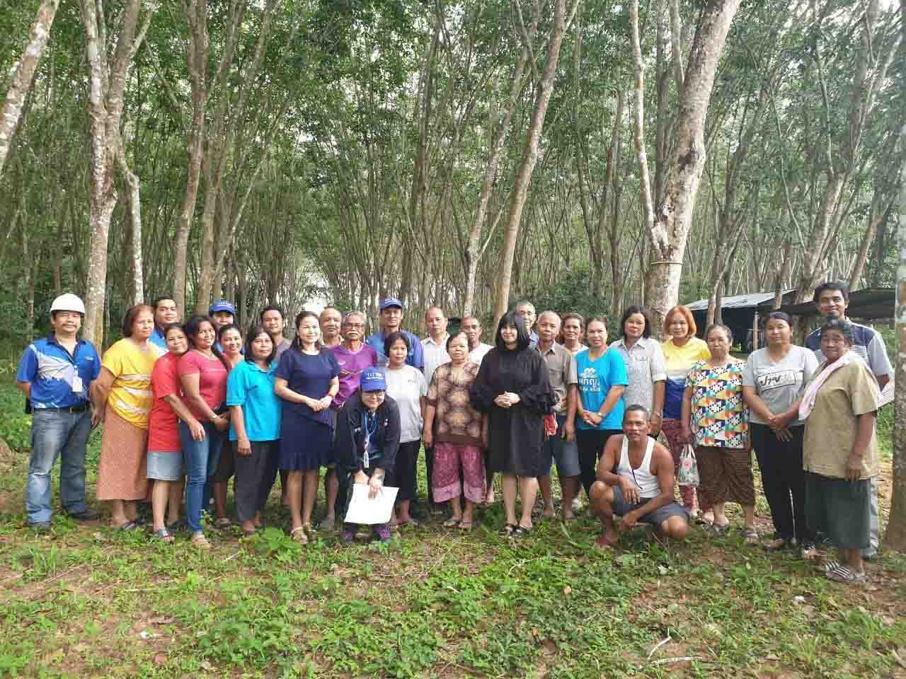 Forest management team